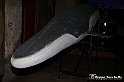 VBS_9584 - Museo Paleontologico - Asti